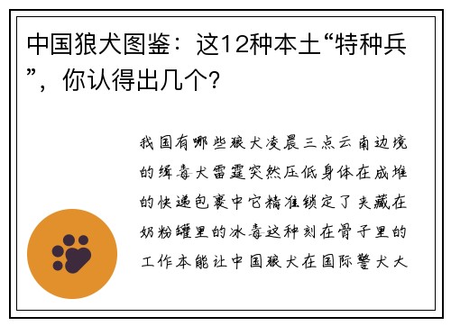 中国狼犬图鉴：这12种本土“特种兵”，你认得出几个？
