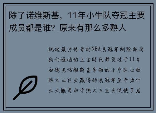 除了诺维斯基，11年小牛队夺冠主要成员都是谁？原来有那么多熟人